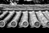 Japanese Roof