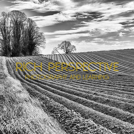 North Yorkshire 2