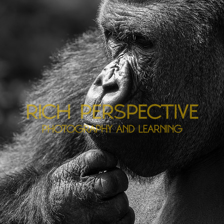 The Thinker #2