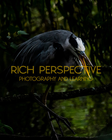 Heron 2