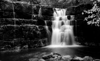 Whitfield Gill