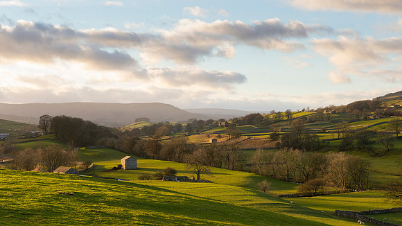 Dales #4
