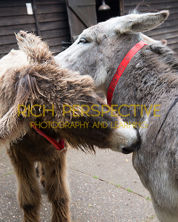 Help each other