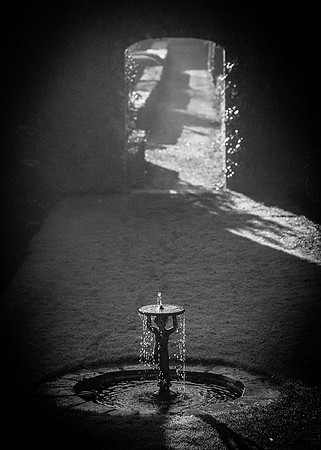 Water