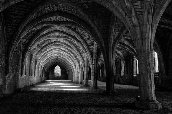 Into the Light