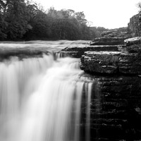 The Falls